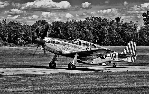 The Original Mustang