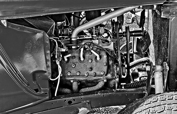 Flathead