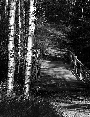 Birch Bridge